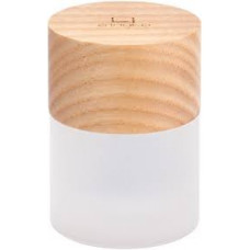 Портативный светильник на аккумуляторе Lemelia Gingko дерево клен