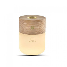 Аккумуляторная лампа-диффузор Gingko (Англия), дерево клен