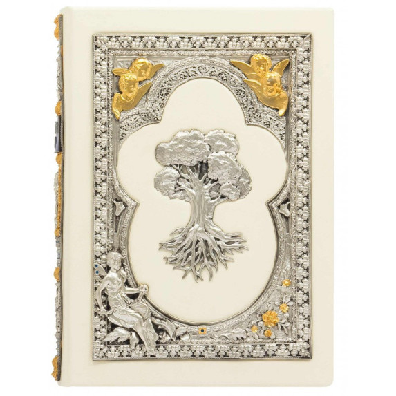 Семейная книга в кожаном переплете с серебром и позолотой Семейная книга в кожаном переплете с серебром и позолотой