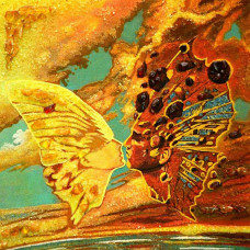 Картина з бурштину "Метелик з поцілунку" 20x30 Картина з бурштину "Метелик з поцілунку" 20x30