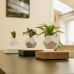Левитирующий вазон «FLYTE Planter», черный Левитирующий вазон «FLYTE Planter», черный